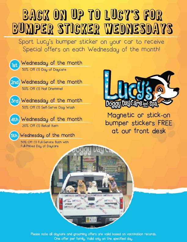 Bumpter-Sticker-Wednesday-Promotions