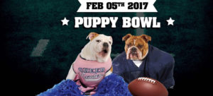 Puppy-Bowl-2017