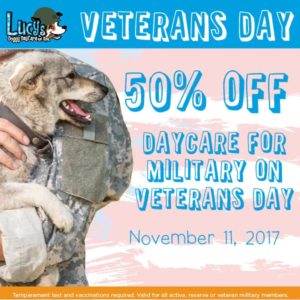veterans day coupon