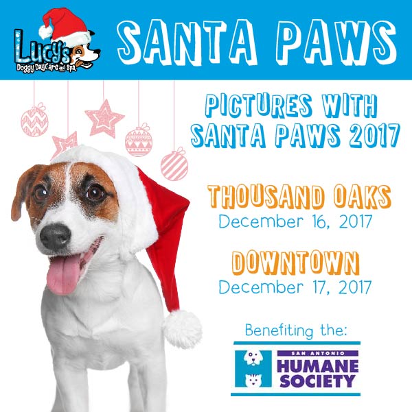 santa paws pictures save the date