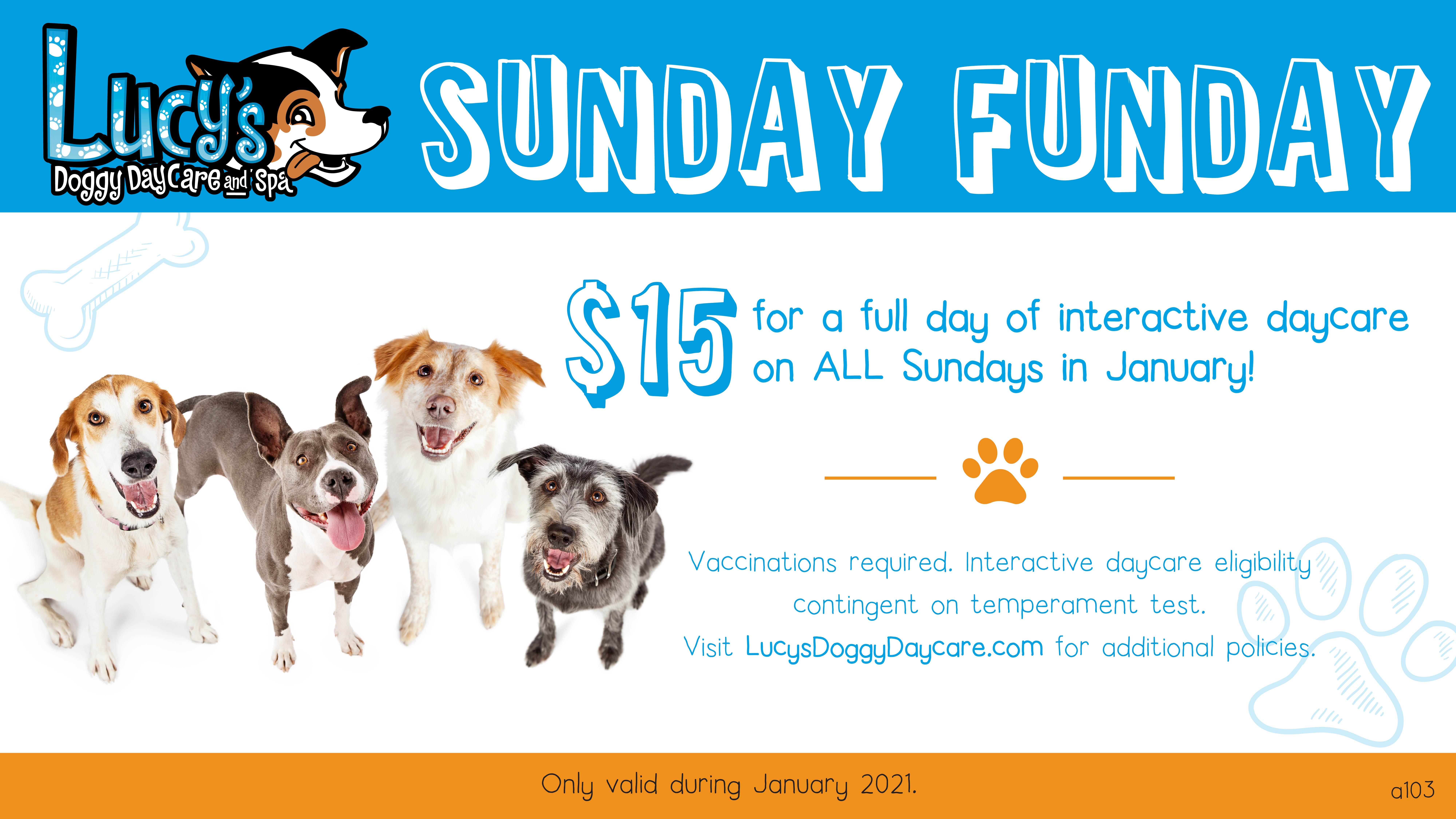 Doggy Daycare Coupon