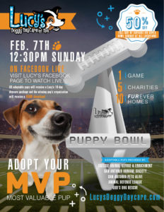 Lucy's Puppy Bowl Flyer with Dog and Trophy