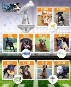 Puppy Bowl Player Lineup Card with photos of adoptable dogs