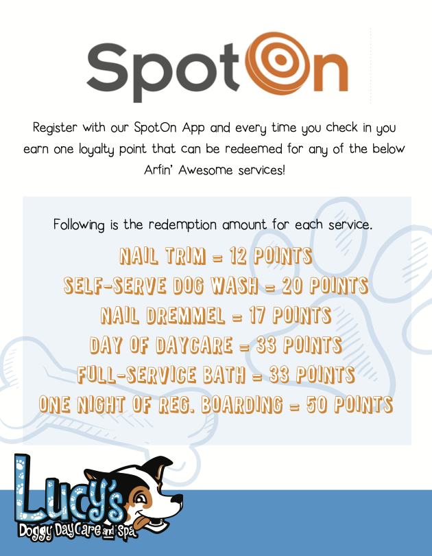 SpotOn App Information
